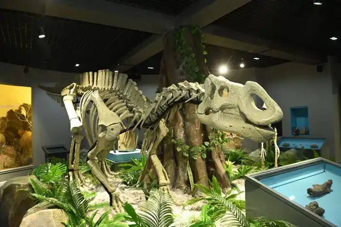 В Кызылорде построено жилье для работников сферы культуры и передано 40 квартир (9)