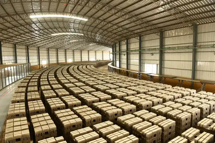 Более 750 млрд тенге инвестиций будет привлечено в Кызылординскую область в этом году (4)