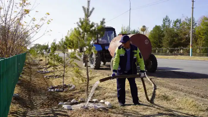 «ТАЗА ҚАЗАҚСТАН»: В ТУРКЕСТАНСКОЙ ОБЛАСТИ В ЭТОМ ГОДУ ВЫСАЖЕНО БОЛЕЕ 1 МЛН САЖЕНЦЕВ И ВЫВЕЗЕНО 17 ТЫСЯЧ ТОНН МУСОРА (2)
