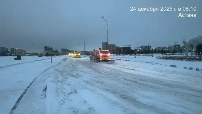 Более миллиона кубометров снега вывезли коммунальщики из Астаны (6)