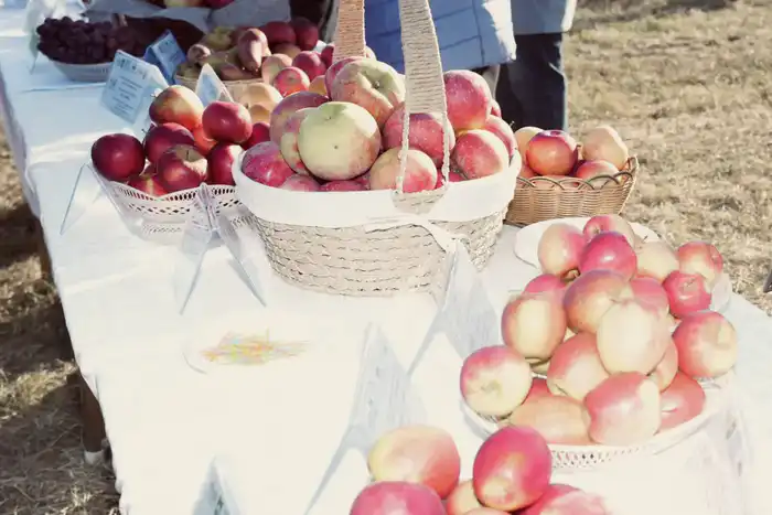 Казахстан и Россия реализуют совместный проект по развитию интенсивного садоводства (4)