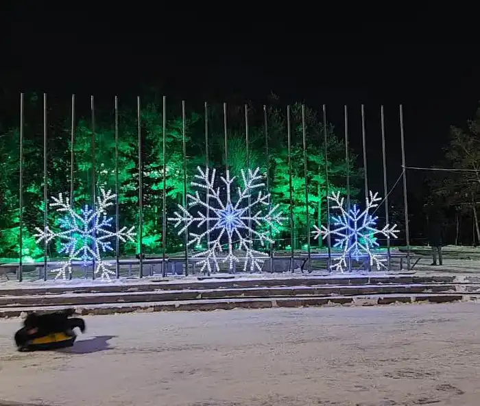 В Караганде зажгли главную новогоднюю ёлку (6)