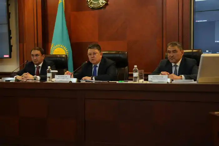 Рабочая группа для определения лимитов по выращиванию влагоемких культур будет создана в Кызылординской области (3)