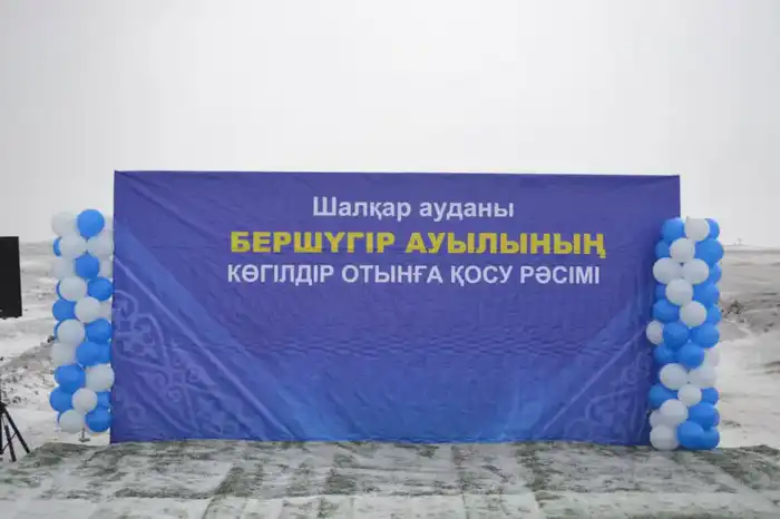 В трех селах Шалкарского района дали газ (4)