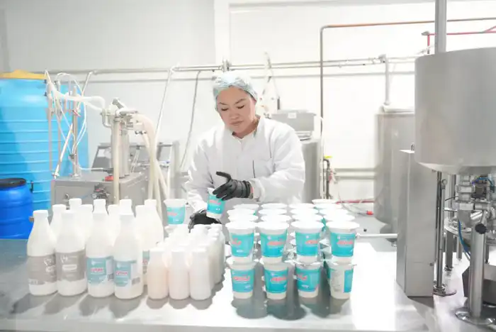 Ералы Тогжанов ознакомился с работой производственных и социальных объектов (10)