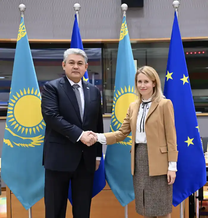 Глава МИД Казахстана принял участие в 22-м заседании Совета сотрудничества «Казахстан – Европейский союз» (8)