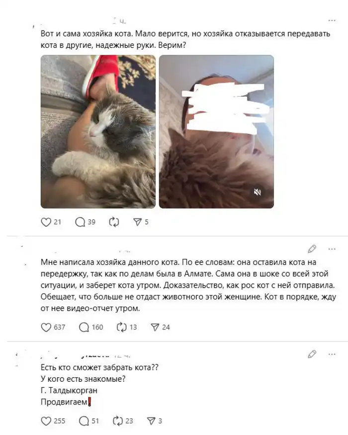 Скриншот: Threads