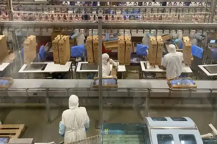 Макинская птицефабрика: надежность, высокое качество и развитие производства (3)