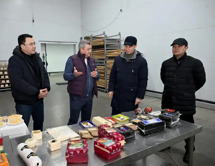 Аким Алматы в ходе рабочего объезда посетил объекты Жетысуского района (5)