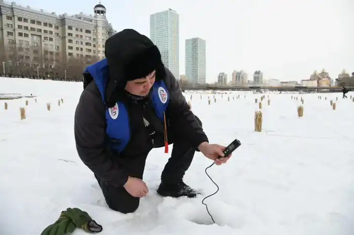 Работы по сохранению биоразнообразия в реке Есиль проводят в Астане (5)