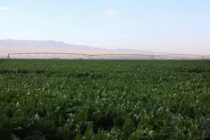 76 оросительных каналов отремонтируют в Жамбылской области (5)