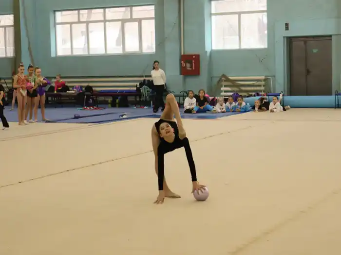 В Усть-Каменогорске проходит чемпионат ВКО по художественной гимнастике (2)