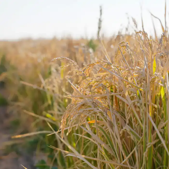 ЭКОНОМИЯ ВОДЫ – ВОПРОС НАЦИОНАЛЬНОЙ БЕЗОПАСНОСТИ: РЕАЛИЗАЦИЯ ПОРУЧЕНИЙ ПРЕЗИДЕНТА В РЕГИОНЕ ПРИНОСЯТ КОНКРЕТНЫЕ РЕЗУЛЬТАТЫ (9)