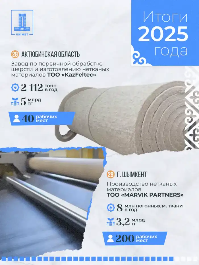 В Казахстане в 2025 году запущено 33 новых промышленных предприятия (9)