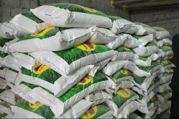 Цех по переработке риса запустили в Туркестанской области (3)