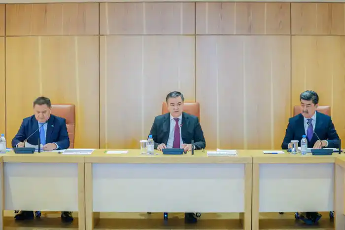 Создание экопарков в столице и пристоличном регионе обсудили в Астане (5)