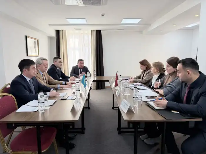 Встреча экспертов по вопросу взаимного признания программ Уполномоченных экономических операторов Республики Казахстан и Турецкой Республики (3)