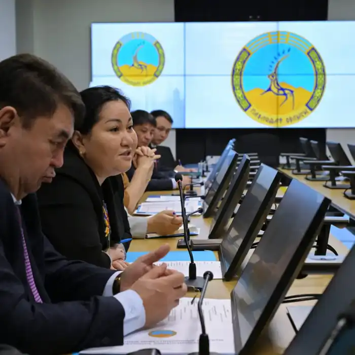 С нового года - к новым задачам и проектам (10)