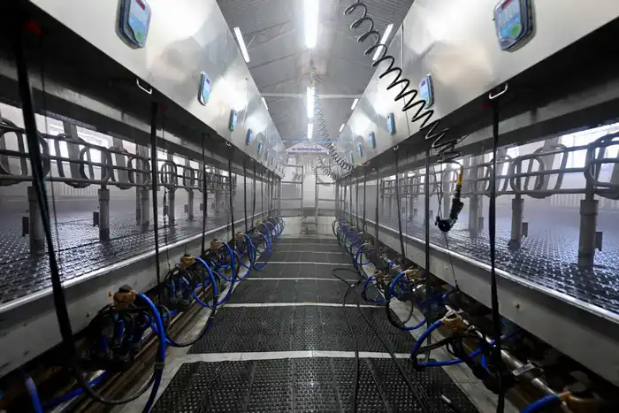 Аким области ознакомился с деятельностью крестьянских хозяйств в Бескарагайском районе (4)