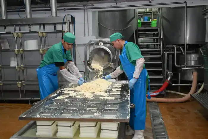 Аким Алматы в ходе рабочего объезда посетил объекты Жетысуского района (4)