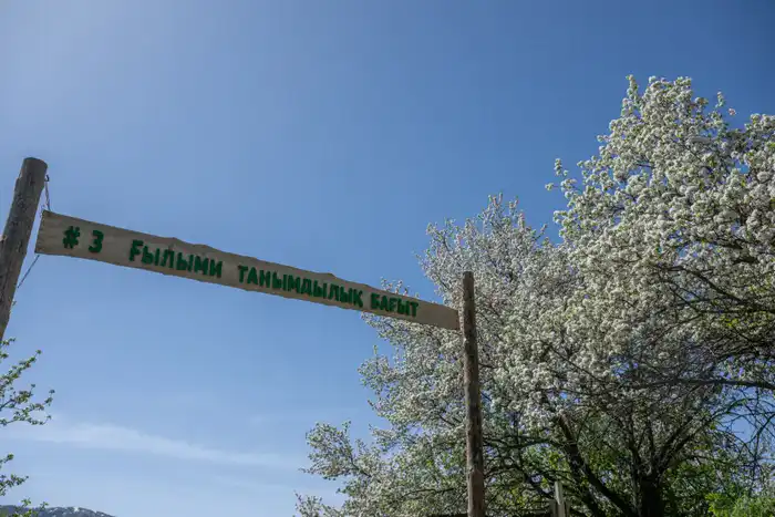 Экологический туризм в Жетісу: число посетителей национальных парков за год достигло 40 тыс. человек (2)