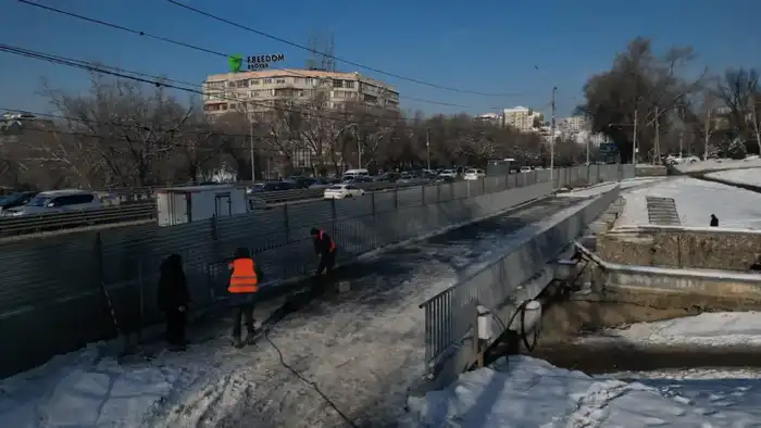 В Алматы при строительстве велопешеходного моста через Есентай высадят 80 крупномерных деревьев (2)