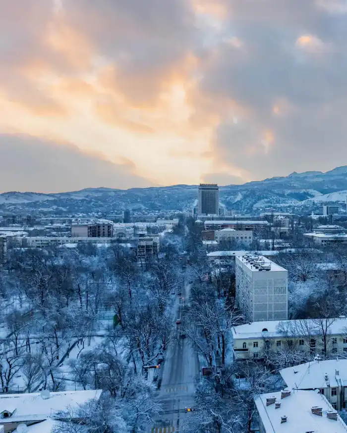 Приоритеты модернизации — в плоскости конкретных решений: в Алматы обсудили реализацию задач, обозначенных Главой государства (3)