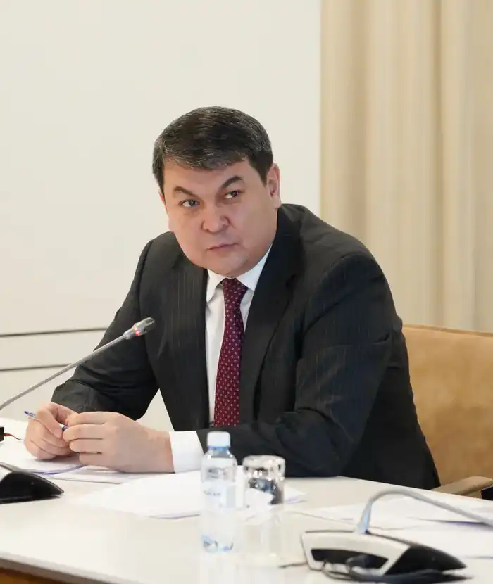 В ТУРКЕСТАНСКОЙ ОБЛАСТИ ЗА ТРИ ГОДА В РАМКАХ ПРОГРАММЫ «АУЫЛ АМАНАТЫ» ПРОФИНАНСИРОВАНО ОКОЛО 4000 ПРОЕКТОВ (6)