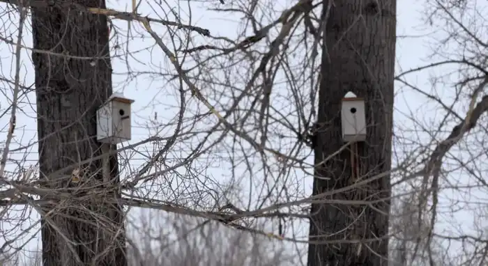 В области Абай прошла экологическая акция «Берегите природу» (3)