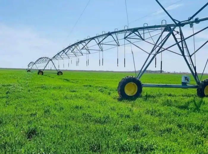 ТУРКЕСТАНСКАЯ ОБЛАСТЬ ЛИДИРУЕТ В РЕСПУБЛИКЕ ПО ПРИВЛЕЧЕНИЮ ИНВЕСТИЦИЙ В СЕЛЬСКОХОЗЯЙСТВЕННУЮ ОТРАСЛЬ (2)