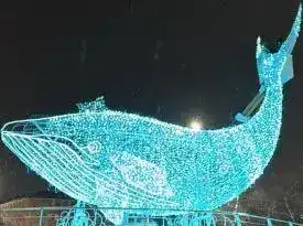 В Центральном парке Караганды появится открытый бассейн и музыкально-огненный фонтан (10)