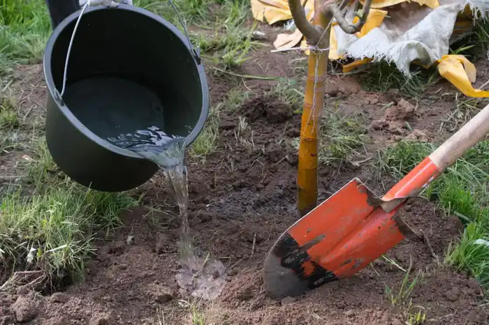 Среди школьников Алматы стартовал общегородской экологический челлендж (2)