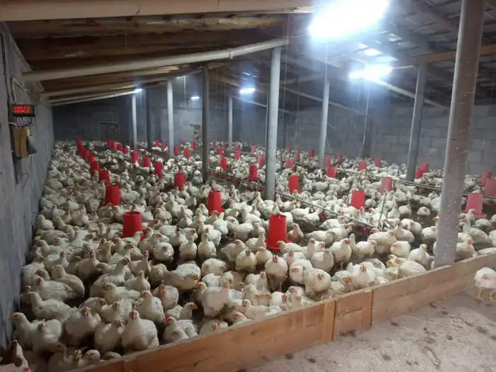 В ТУРКЕСТАНСКОЙ ОБЛАСТИ ОТКРОЮТСЯ НОВЫЕ ЗАВОДЫ И РАБОЧИЕ МЕСТА (5)