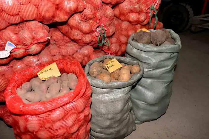 Аким области ознакомился с деятельностью крестьянских хозяйств в Бескарагайском районе (9)