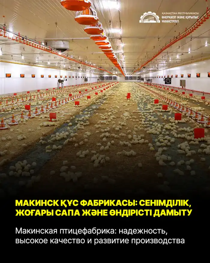 Макинская птицефабрика: надежность, высокое качество и развитие производства (5)