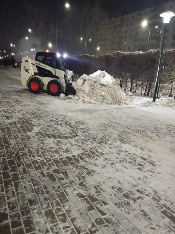 Более 1 100 единиц спецтехники задействовано в снегоуборочных работах в Астане (10)