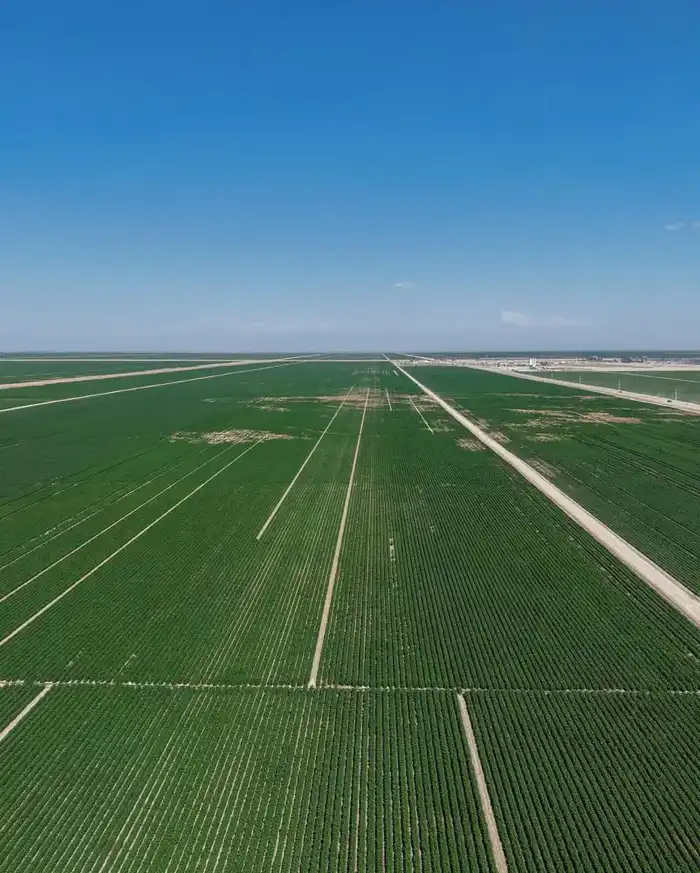 ИТОГИ ГОДА: ТУРКЕСТАНСКАЯ ОБЛАСТЬ СТАЛА ЛИДЕРОМ В РЕСПУБЛИКЕ ПО ОБЪЁМУ СЕЛЬСКОХОЗЯЙСТВЕННОЙ ПРОДУКЦИИ (2)