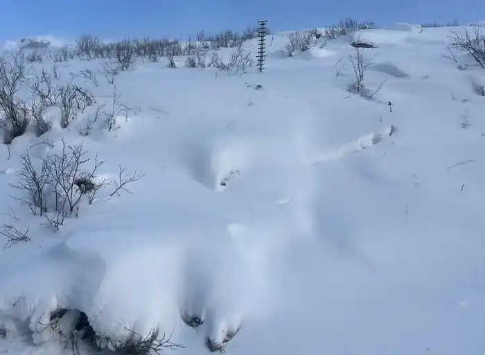 В ВКО проведено обследование лавиноопасных участков вдоль дорог (3)