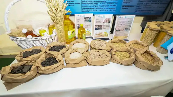 Премьер-министр посетил ряд предприятий Алматинской области и ознакомился с объемами привлеченных инвестиций (10)