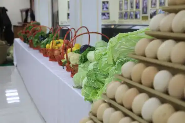 В САРЫАГАШСКОМ РАЙОНЕ ОБЪЕМ ВАЛОВОГО РЕГИОНАЛЬНОГО ПРОДУКТА ПРЕВЫСИЛ 380 МЛРД ТЕНГЕ (5)