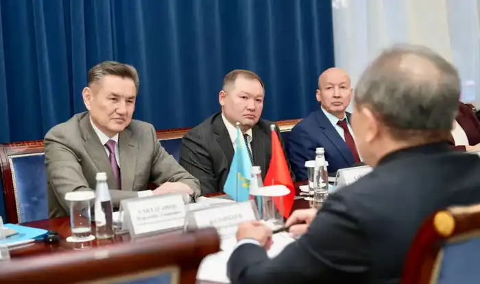 Товарооборот между ВКО и Кыргызстаном за год превысил 500 млн долларов (2)