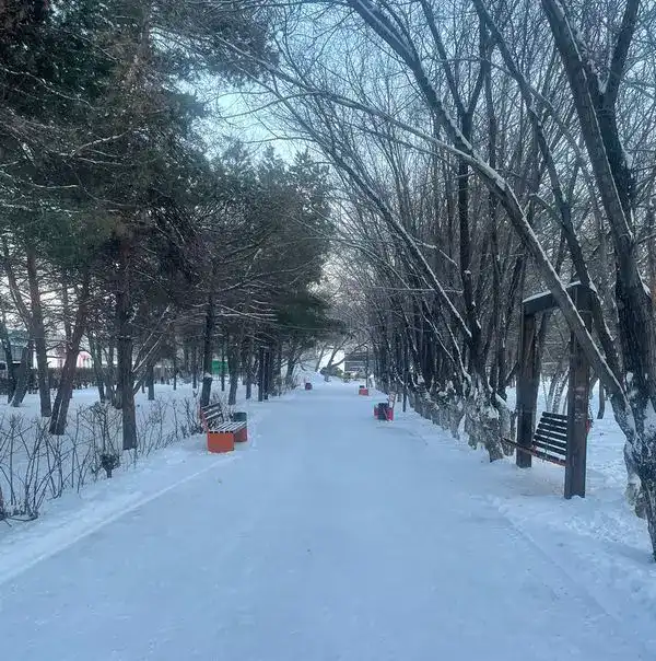 От детских площадок до скверов: как жители Темиртау меняют город по «Бюджету народного участия» (2)