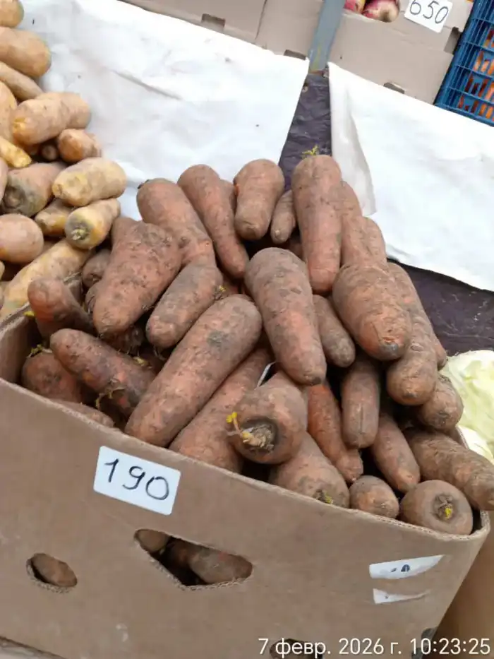 На ярмарке в Актау из стабилизационного фонда было реализовано 2 тонны картофеля (3)