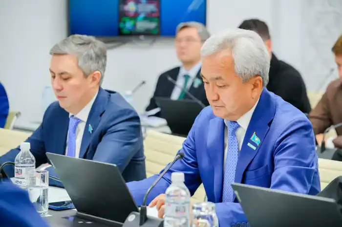 Проект обновленной Конституции Казахстана обсудили депутаты в Астане (3)