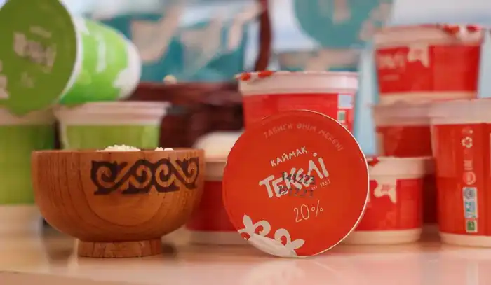 Бейбит Исабаев обозначил шесть приоритетов развития области Жетісу (8)