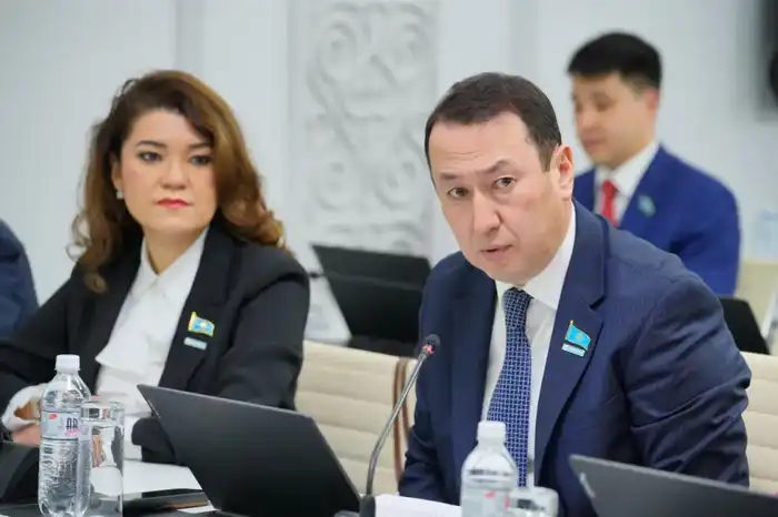 Проект обновленной Конституции Казахстана обсудили депутаты в Астане (4)