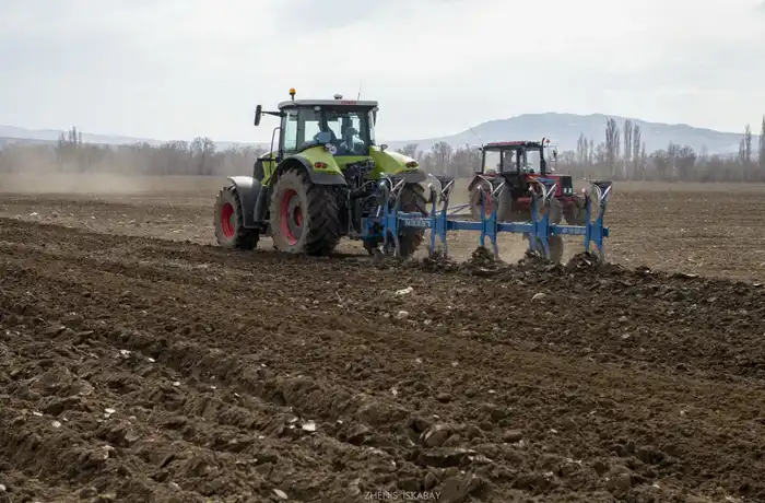 В области Жетісу в этом году посевные площади составят порядка 512 тыс. га (7)