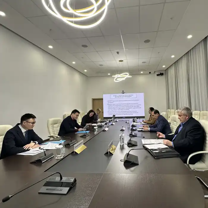 АСПиР РК и Всемирный банк обсудили вопросы совершенствования процедур привлечения займов международных финансовых организаций (4)
