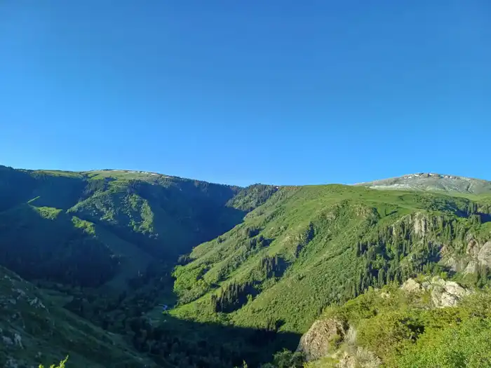 В этом году в области Жетісу создадут три экопарка (8)