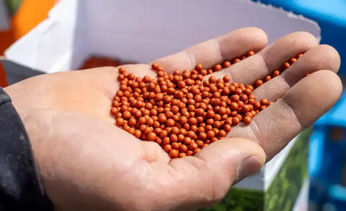 В области Жетісу в этом году посевные площади составят порядка 512 тыс. га (2)